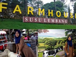 Farmhouse Susu Lembang Bandung, Tempat yang wajib dikunjungi